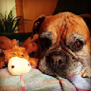 Meet your Posher, Johanna